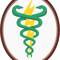 Símbolo_de_la_Fisioterapia.svg